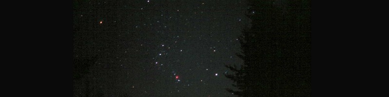 Orion's Constellation by Greg Powell